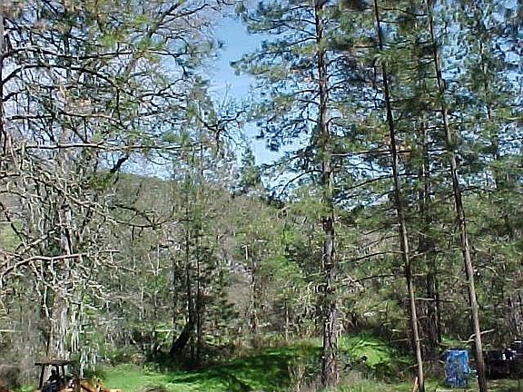 View from Building site