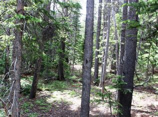 Lot 209 Upper Forest Road LOT 209, Idaho Springs, CO 80452