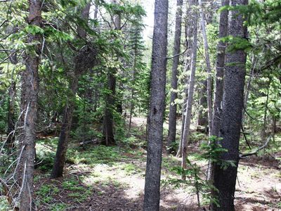 Lot 209 Upper Forest Road LOT 209, Idaho Springs, CO, 80452