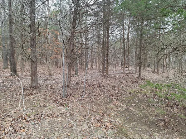 5849 Forest Dr, Hillsboro, MO 63050