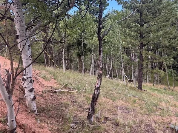 40 Sequoia Trail LOT 25, Woodland Park, CO 80863