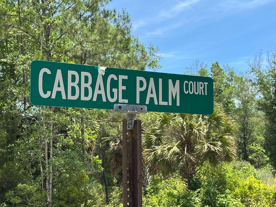1st image of X Cabbage Palm Ct