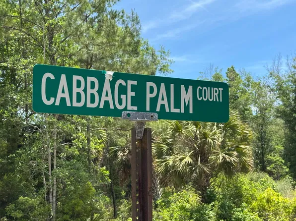 X Cabbage Palm Ct, Saint Marks, FL 32355