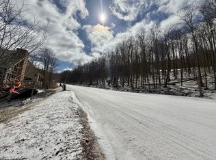 29 Ski In Ct, Davis, WV 26260