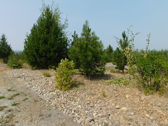 4th image of 821 Freedom Meadows Dr