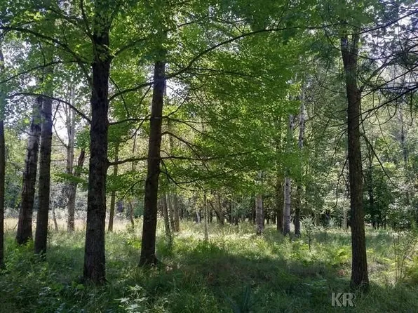 Three Rivers Rd, Gladwin, MI 48624