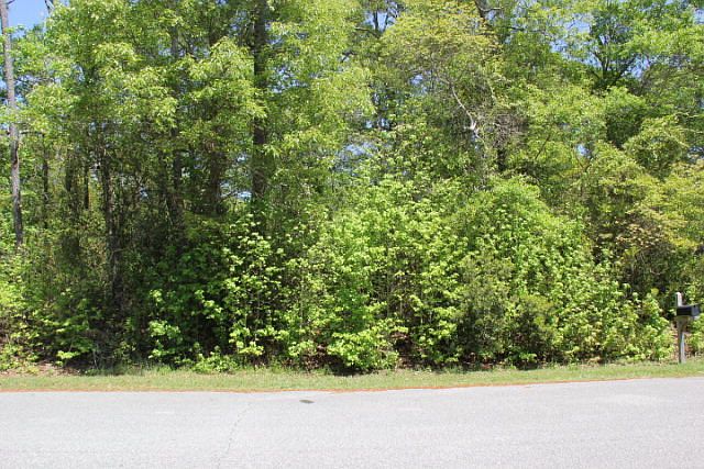 2nd image of Lot 174 Pine Needle Drive LOT 174