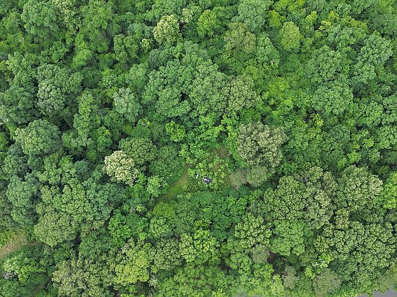 4th image of 214 Gessler Rd