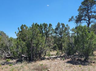 3181 Trailblazer Dr, Overgaard, AZ 85933