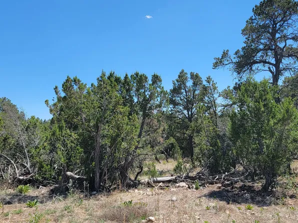 3181 Trailblazer Dr, Overgaard, AZ 85933