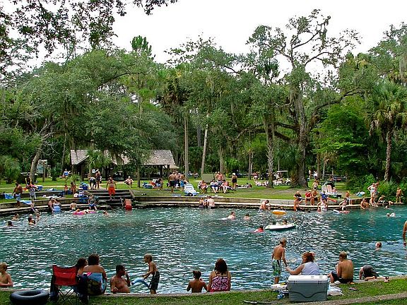 Hot Springs Ocala Forest