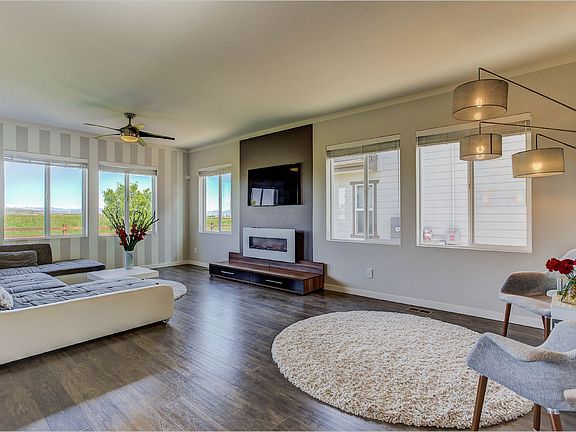 Full walls of windows