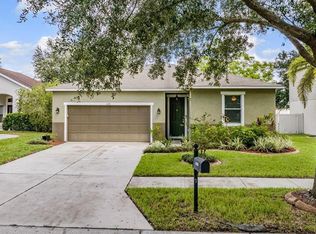 11126 Goldenrod Fern Dr, Riverview, FL 33569