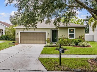 11126 Goldenrod Fern Dr, Riverview, FL, 33569