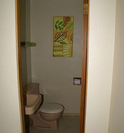 Your guest bath!