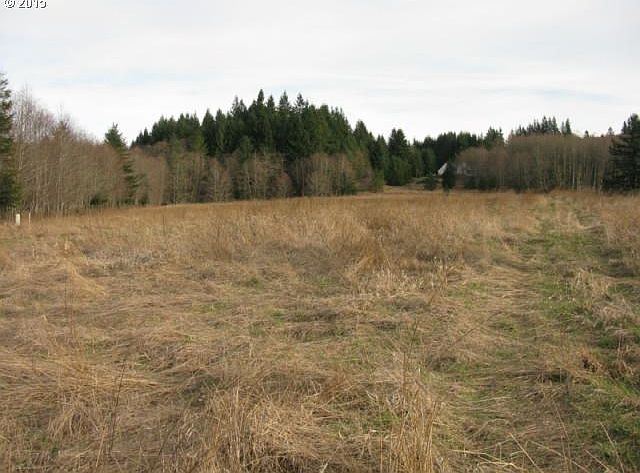 2nd image of 0 NE 262nd Ave #3