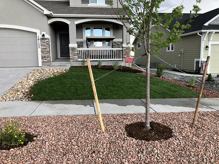 10135 Thrive Ln — Photo 2