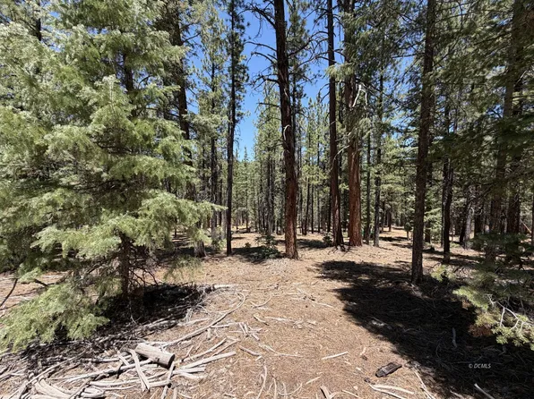 210 E Palmer Ln, Mammoth Creek, UT 84735