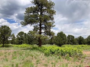 15 Fisher Canyon Dr, Ridgway, CO 81432