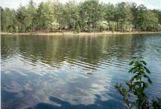 1st image of TBD Lakeside Drive LOT 223