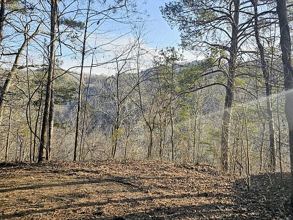 3rd image of 137 Abe Ct