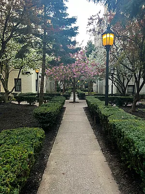 Rented by Compass | media 7