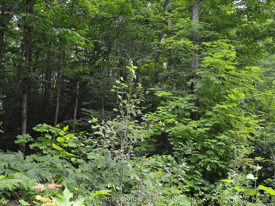 2nd image of 0 Fern Glen Rd