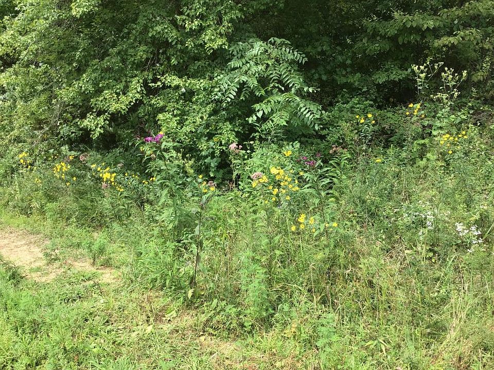 1st image of Nashville Hwy