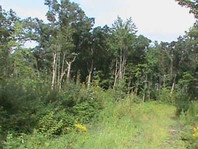 County Road D, Fall Creek, WI, 54742