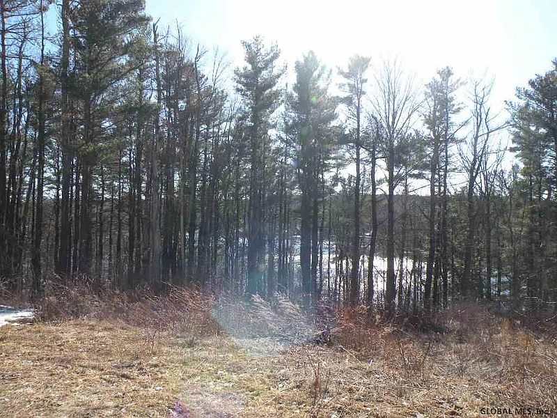 5th image of 000 HARRIMAN RD