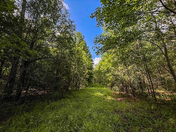 3rd image of Peyton Ln