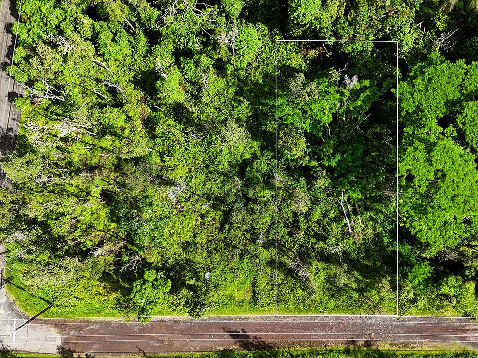 1st image of FOREST RD