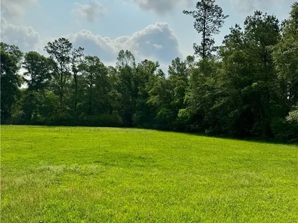 29898 Cousins Rd, Albany, LA 70711