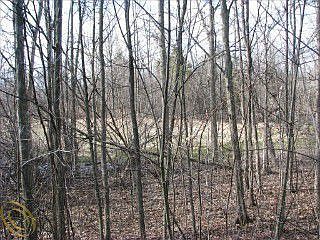 5th image of 7402 Crackling Creek Cir #1