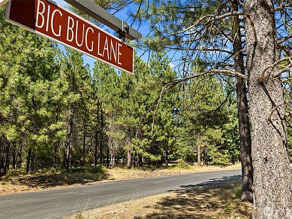 2nd image of 51 Big Bug Lane
