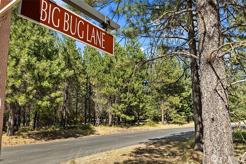 2nd image of 51 Big Bug Lane