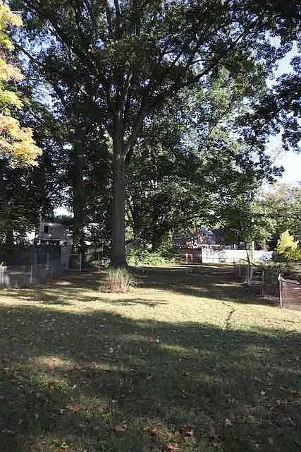 3 bed, 1.5 bath, 1296 sqft, $1,495 — Photo 2