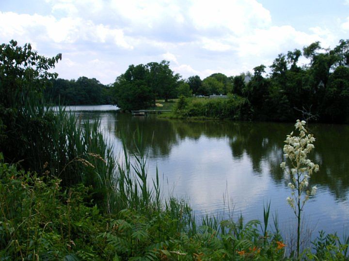Lake off back deck