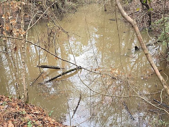 2nd image of County Road 1150
