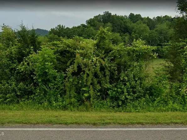 White Top Rd, Bluff City, TN 37618