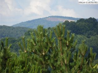 Holly Hill Dr LOT 14, Sparta, NC 28675