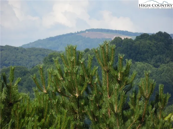 TBD Holly Hill Drive #14, Sparta, NC 28675