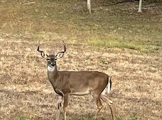 384 Fox Fire Rd, Blanco, TX 78606