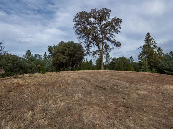 132-12804 Austin Forest Cir, Auburn, CA 95602