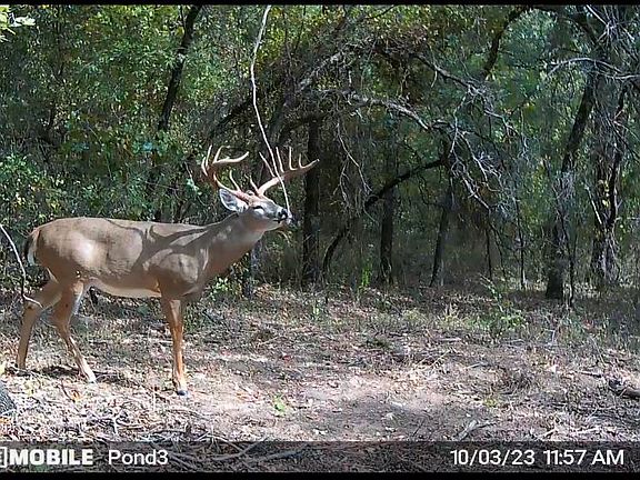 5th image of 0 Camelback Rd