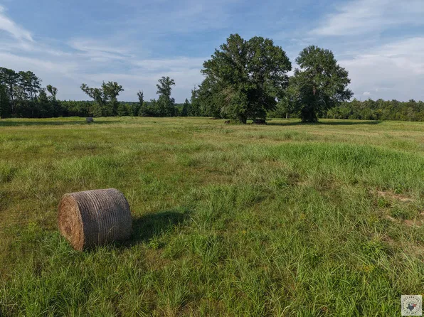 0 County Road 1778, Linden, TX 75563