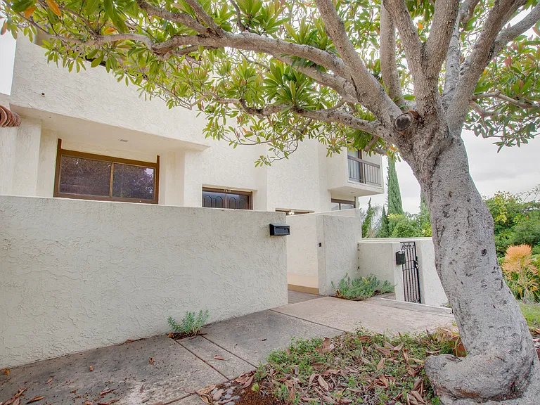 7413 Caminito Carlotta — Photo 20