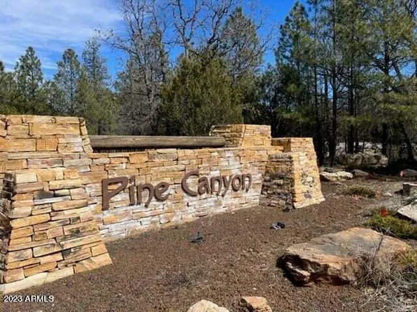 2067 SUGAR PINE Drive #241, Happy Jack, AZ 86024