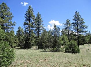 54 Black Bear Rd, Ramah, NM 87321