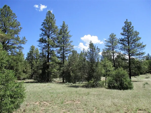 54 Black Bear Rd, Ramah, NM 87321